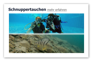 Schnuppertauchen mehr erfahren